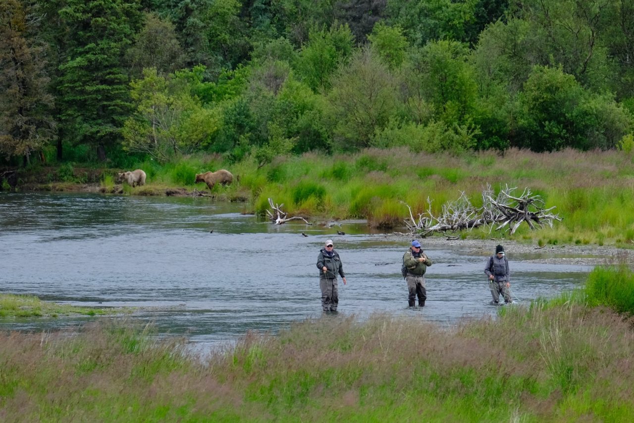 Brooks Falls Bear Viewing Katmai Bear Viewing Alaska's Gold Creek Lodge